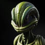 Alien Concept